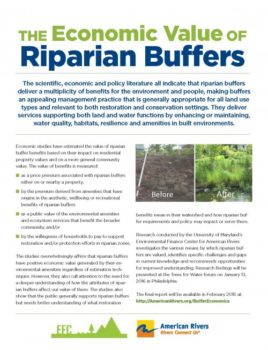 Riparian Buffers Report cover