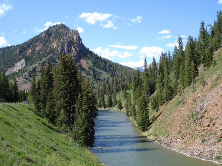 A History Of Success For Americas Most Endangered Rivers