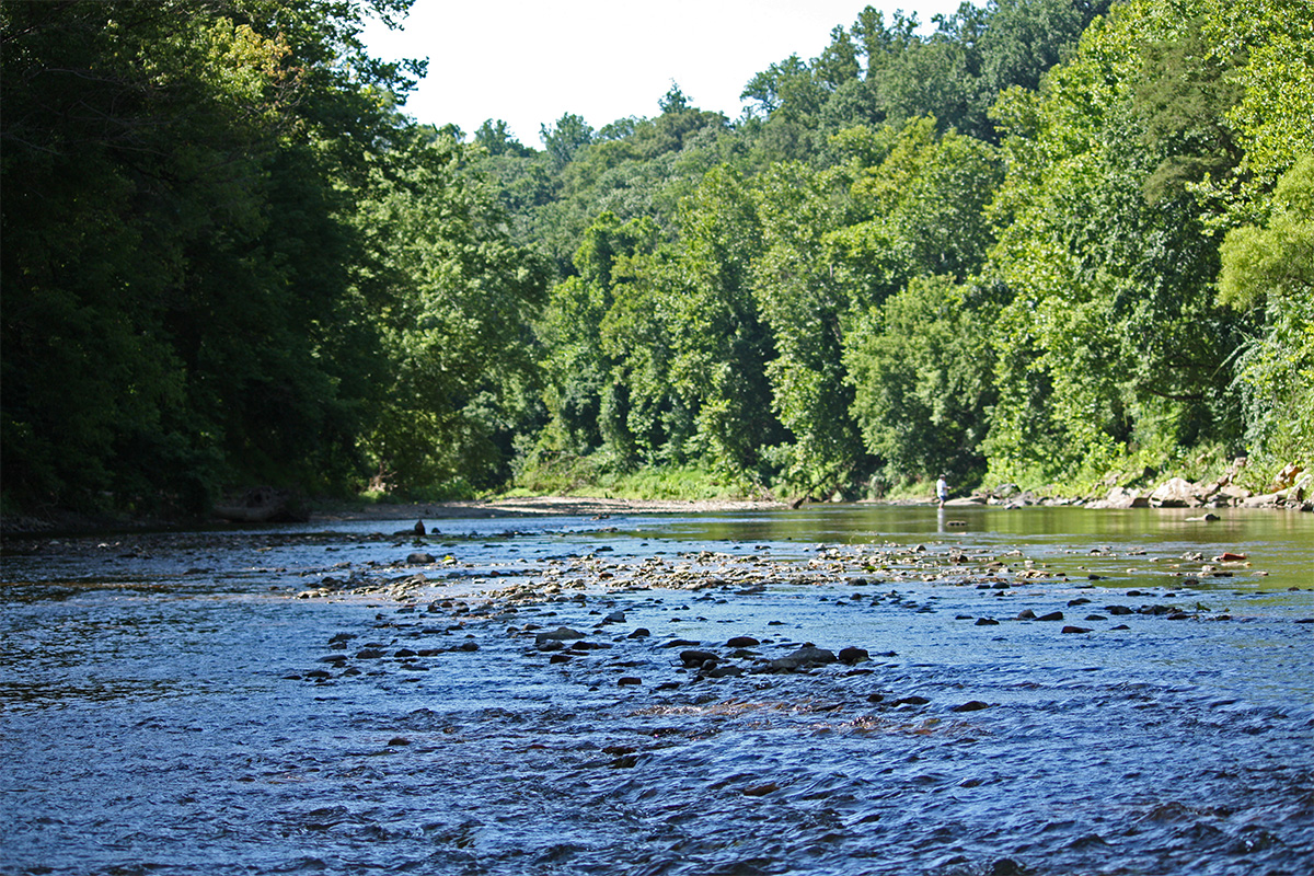 Patapsco River  American Rivers