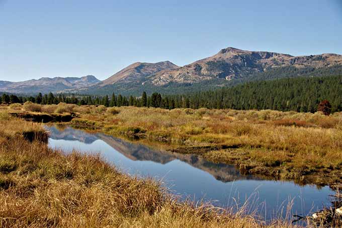 California - American Rivers