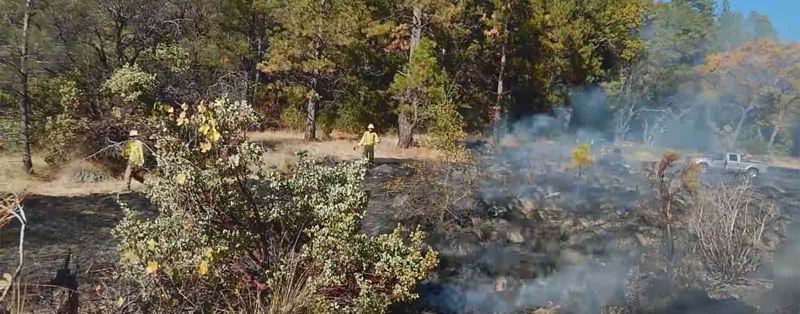 Burning Murphy Meadow