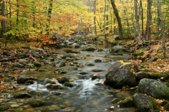 What Makes A River Different Colors American Rivers