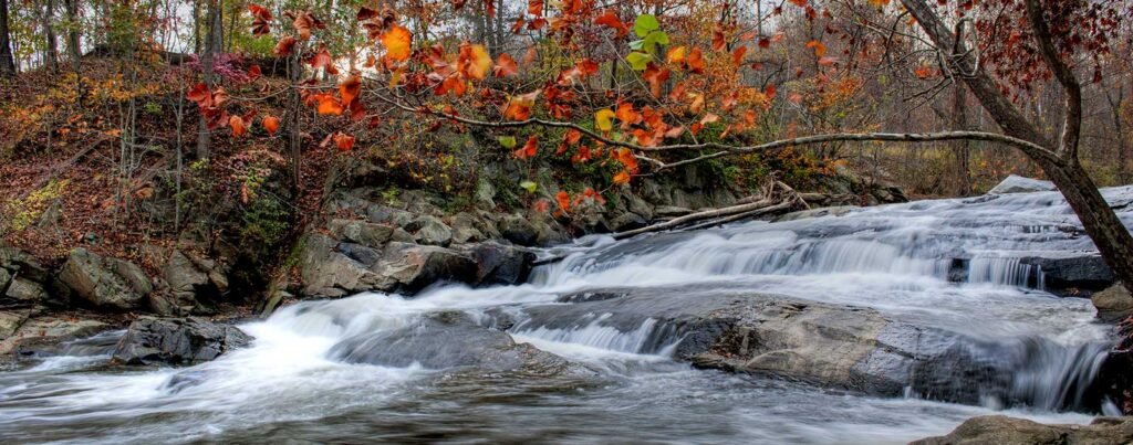 Patapsco River - American Rivers