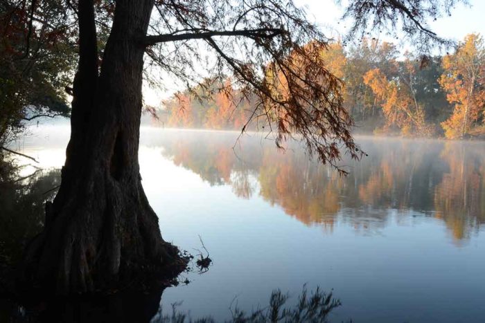 Flint River | Ga River Network