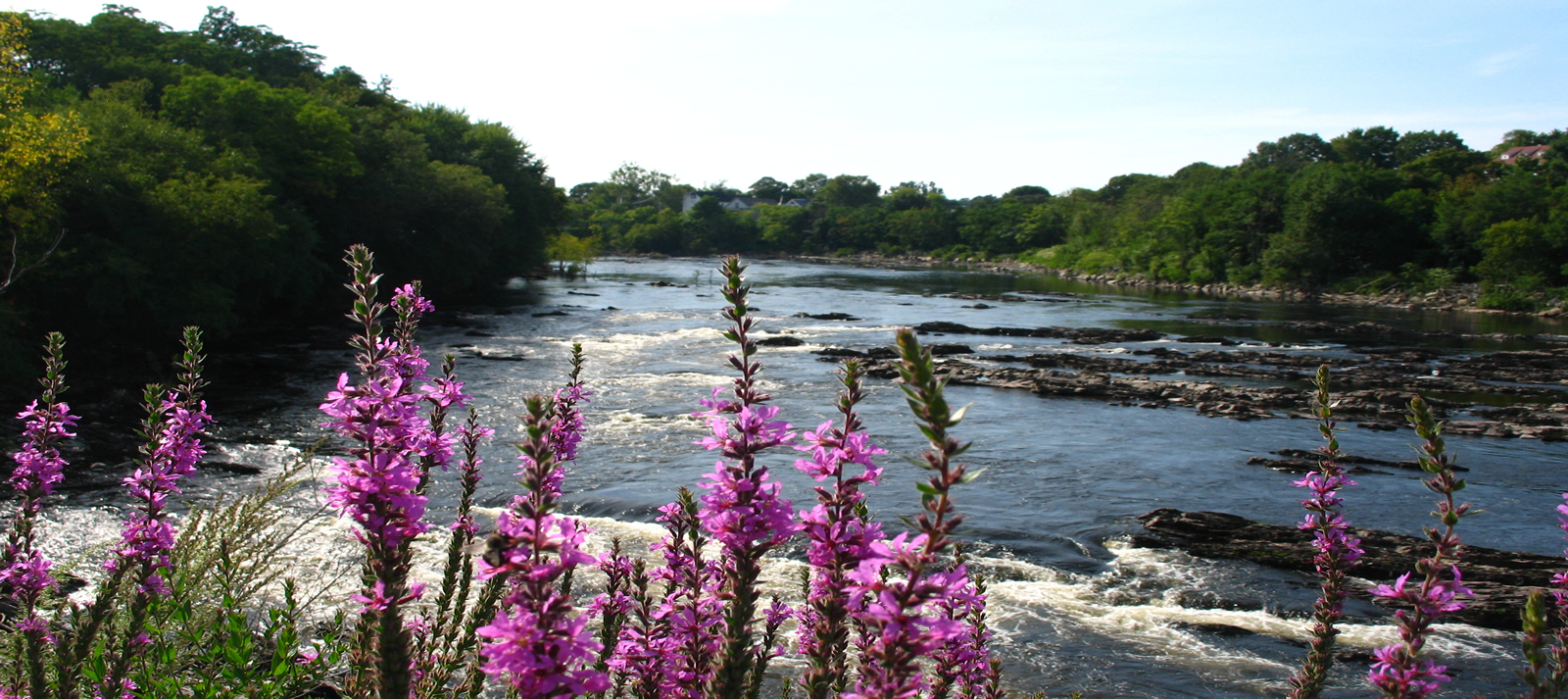 Merrimack River, Massachusetts | Keith Curley