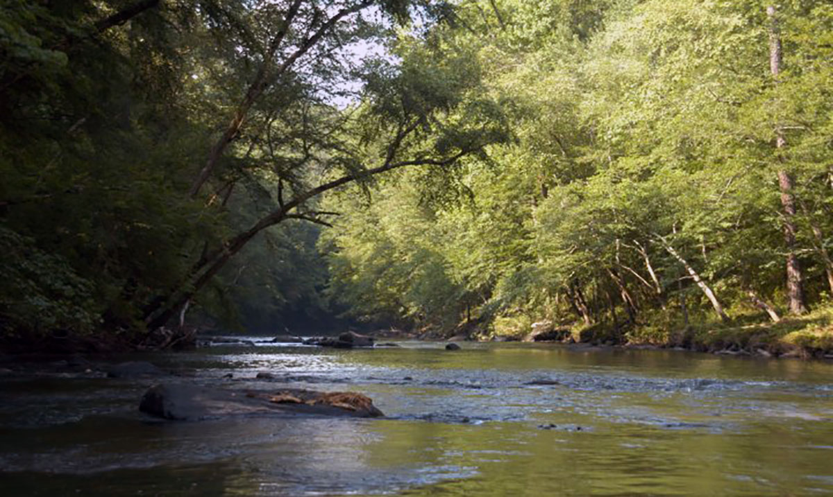 Black Warrior River American Rivers