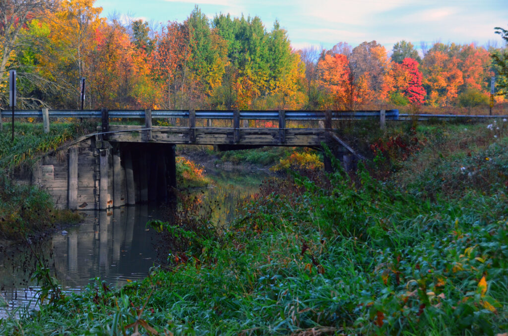 Fall on the Flint River | Photo by Gerry Buckel