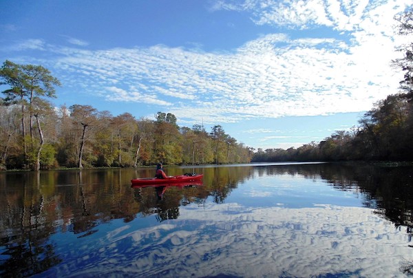 Support the Waccamaw National Wildlife Refuge! | American Rivers