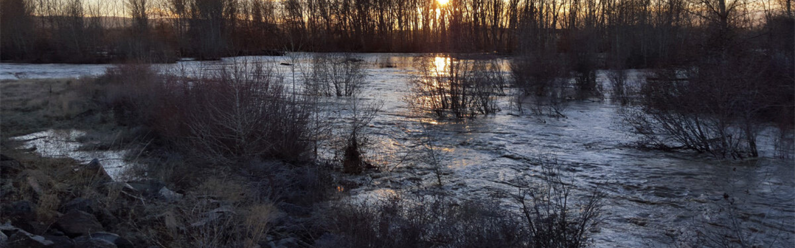 Floodplain restoration efforts by Yakima County on the Yakima River | Jonathan Loos