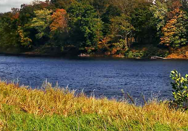 river floodplain