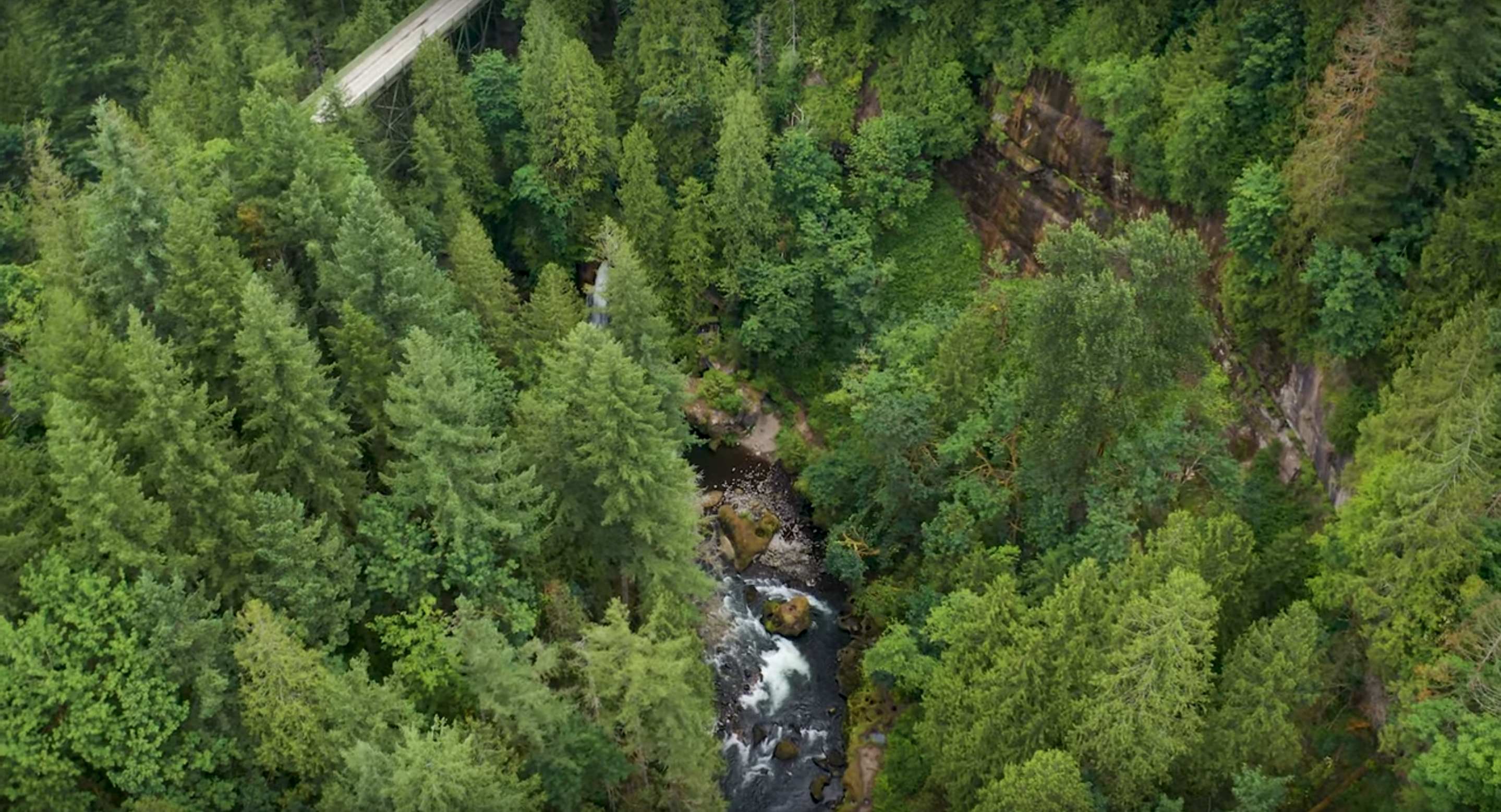 Green-Duwamish River | Photo from Google Earth Documentary