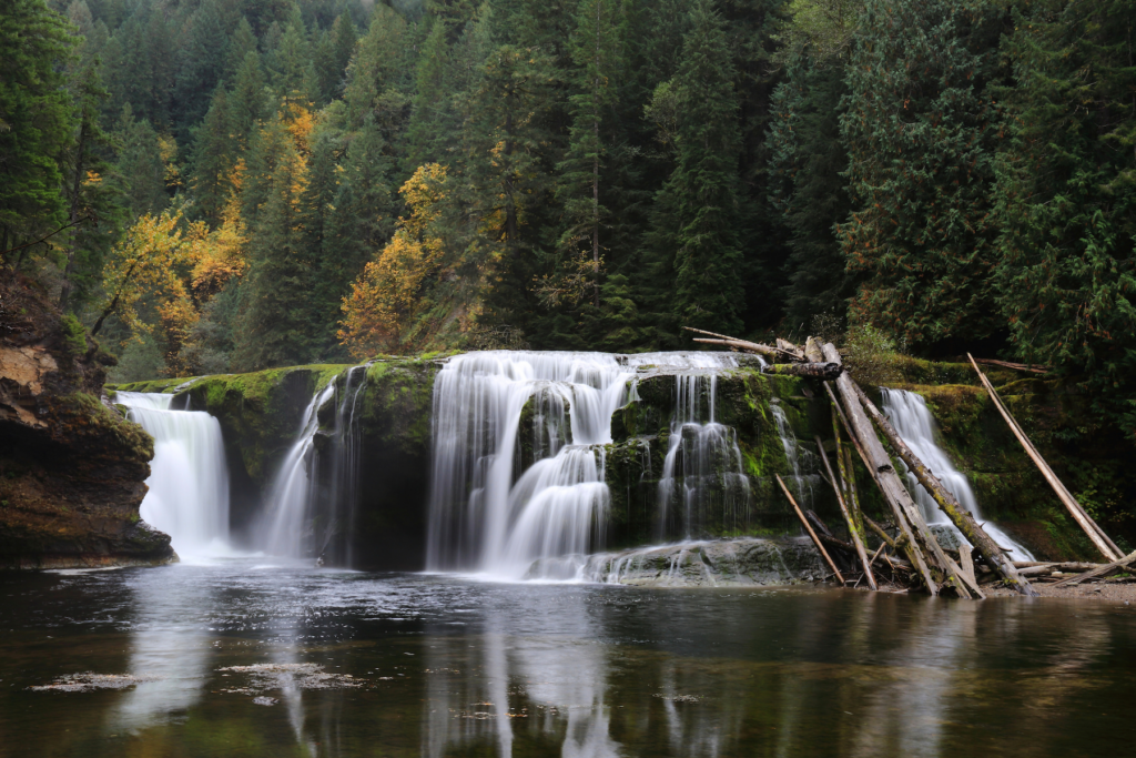 Feds Require Fish Passage at Lewis River Dams to Recover Endangered Salmon - American Rivers