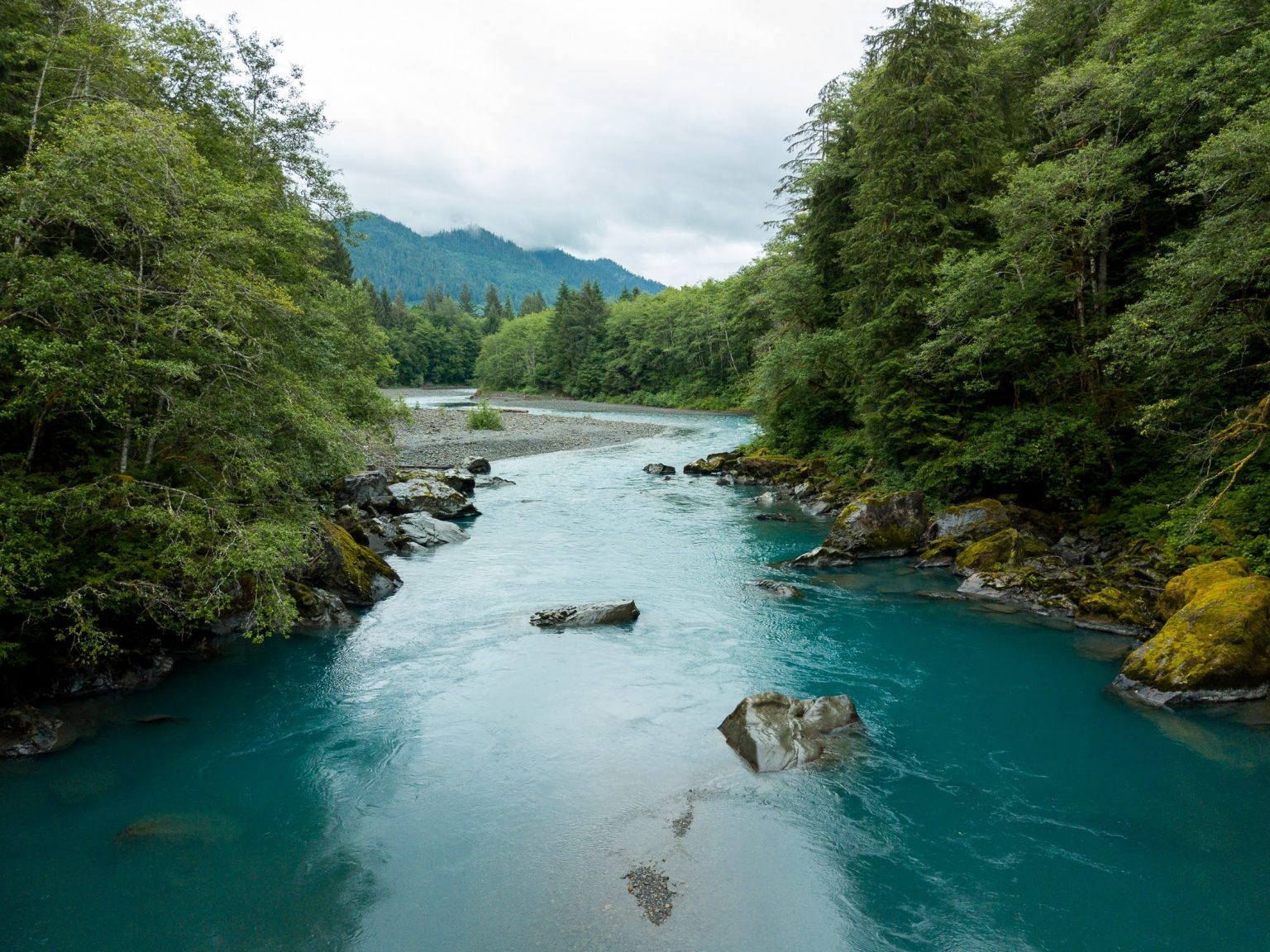 Protecting The Olympic Peninsula The Future Of The Wild Olympics Act   Hoh River Colin Wiseman 1536x1152 