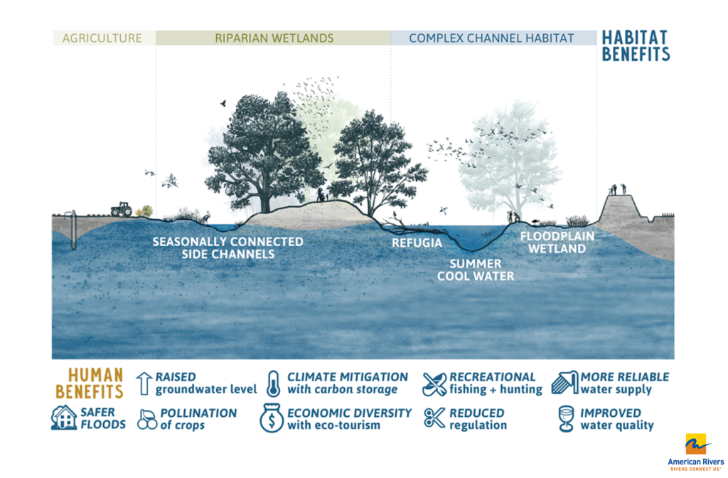 Floodplain