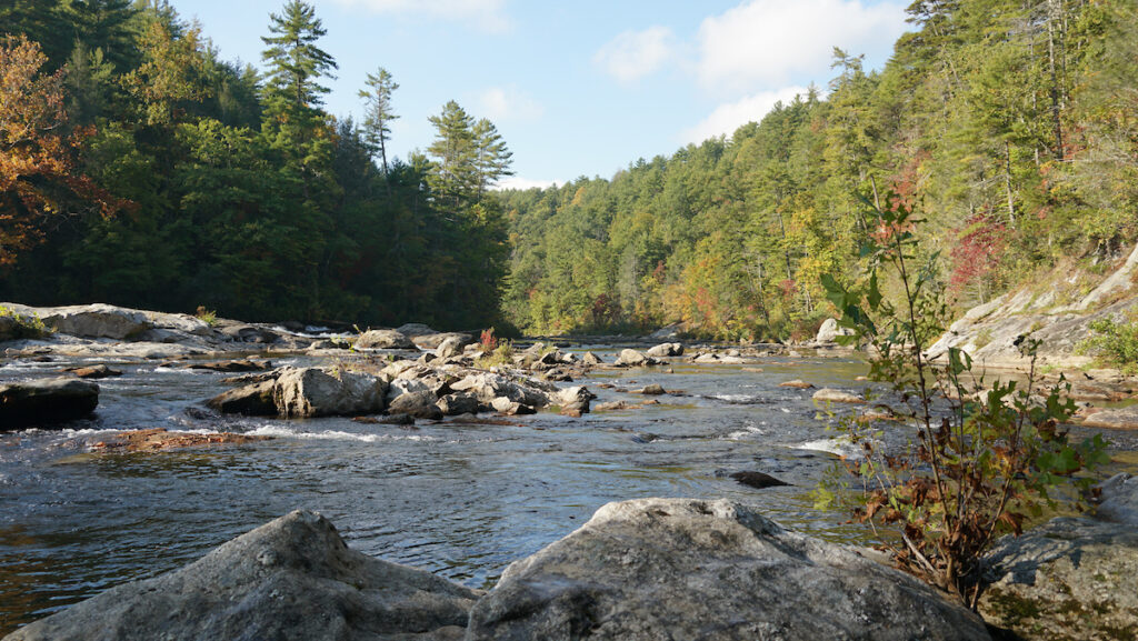 Chattooga River | Wild and Scenic River in Georgia | Photo by Sinjin Eberle