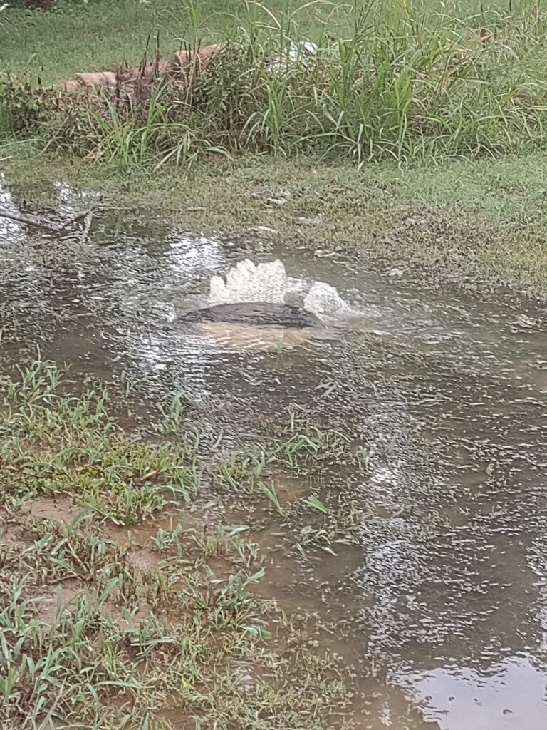 Man hole overflowing with sewage contaminated stormwater in Centreville, Illinois