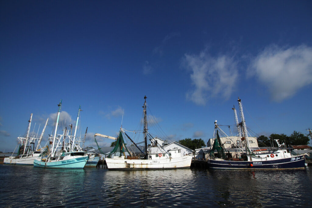Commercial fishing boats line the docks at Oriental's harbor | Photos by Neuse Riverkeeper Samantha Krop clears trash from a Sound Rivers’ Trash Trout on Duffyfield Canal in New Bern | Photo by Vail Stewart Rumley
