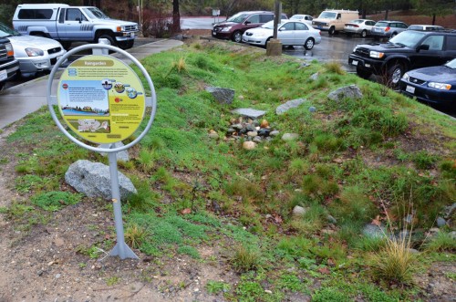 This rain garden catches stormwater  from a large parky lot and in Nevade City, CA and sinks it into the ground  | Jacob Dyste