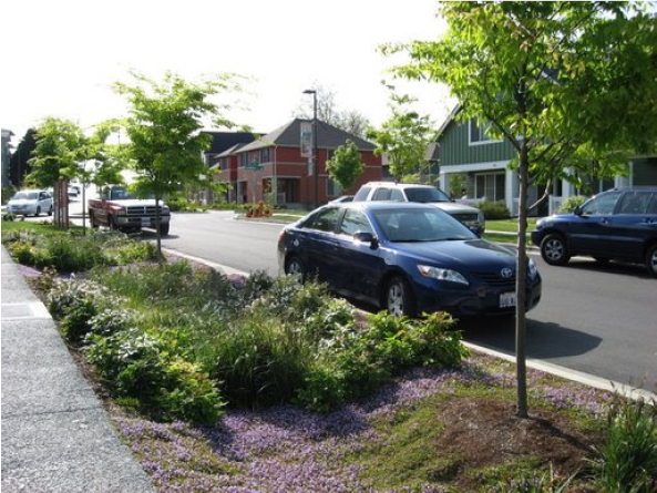 Street-side swale and adjacent pervious concrete sidewalk in Seattle, US. Stormwater is filtered through these features into soil, reducing the runoff into city sewers.