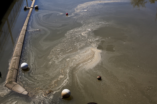 Canal polluted by raw sewage