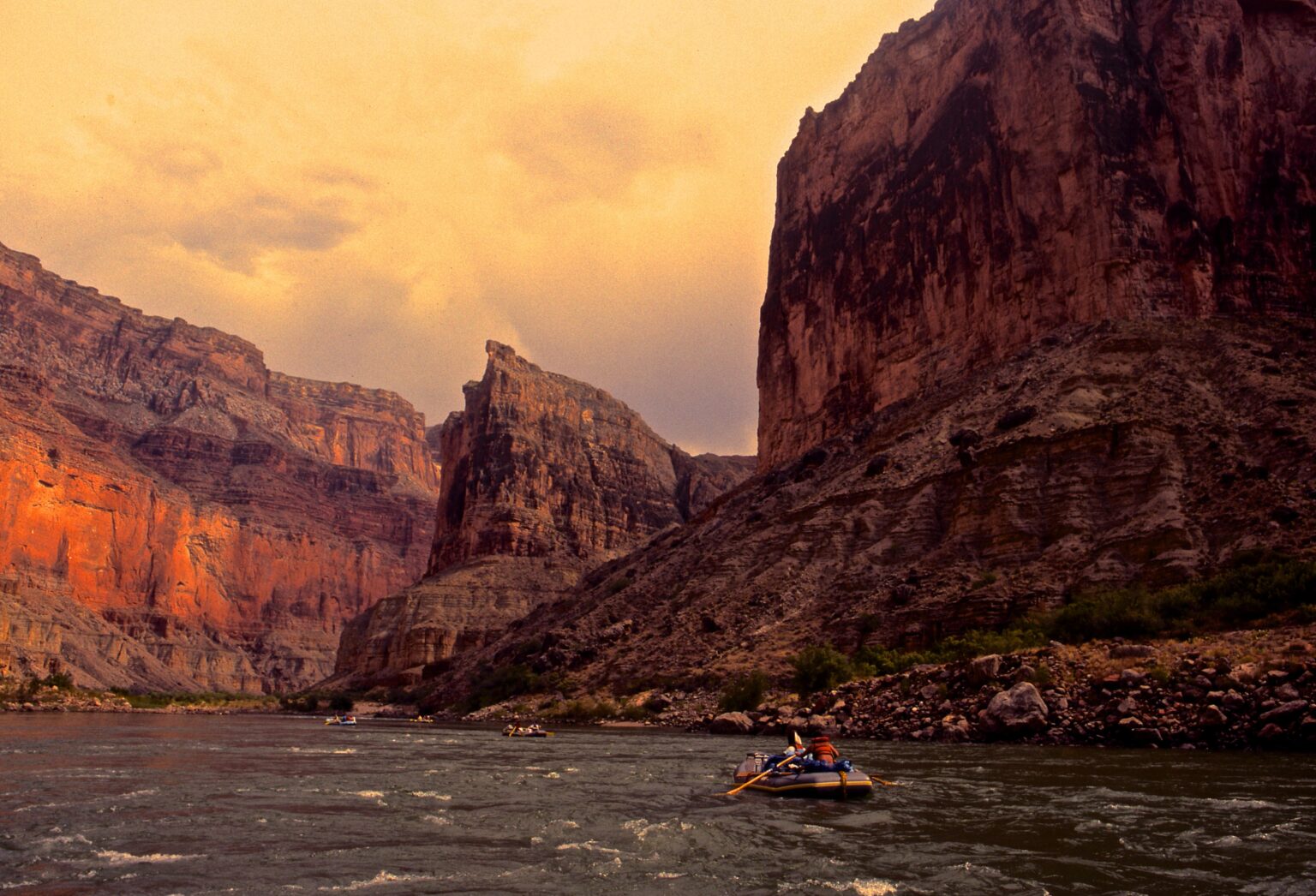 Celebrate! A Spring High Flow Experiment in Grand Canyon