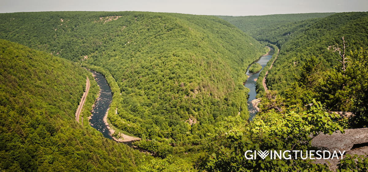 On World Rivers Day - A Vision For Your River