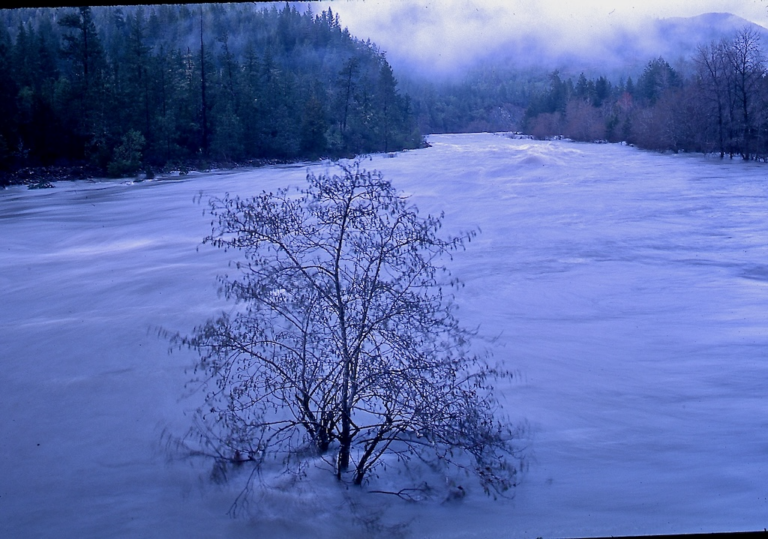 Flooding and River Conservation