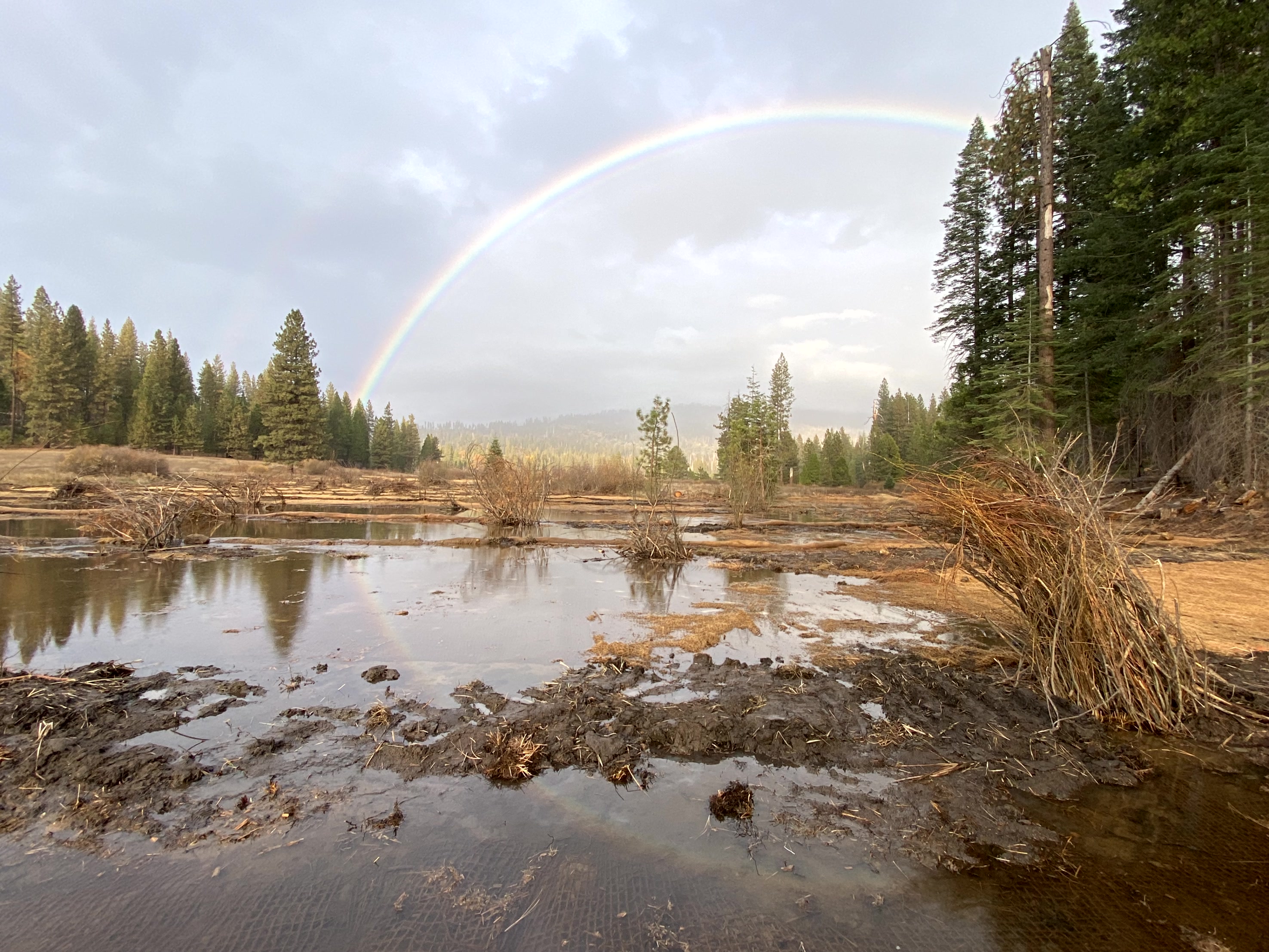 Filled channel at Ackerson Meadow in the Sierra Nevada with a rainbow in the background | Tim Kuhn