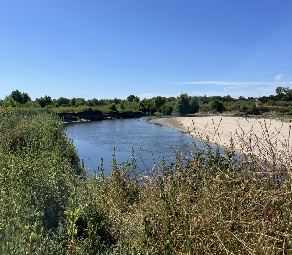 Confluence of the San Joaquin River and Tuolumne River at Dos Rios State Park | Anneli Chow