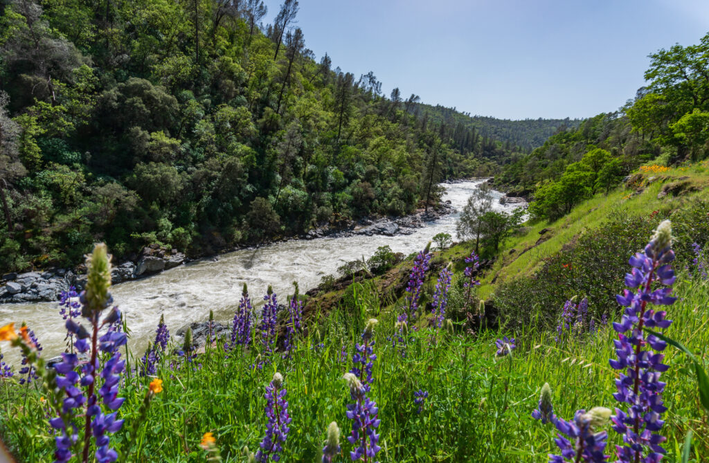 Yuba River, California | Adobe Stock