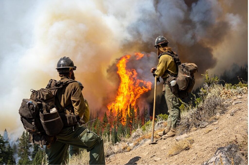 Aravipa Hotshots fighting the 2021 Caldor Fire | Rawpixel.com  