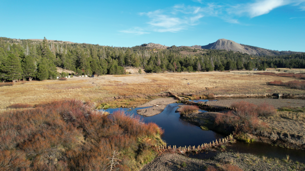 An aerial view of beaver dam analogs (BDAs) at Faith Valley  | Shane Fryer 