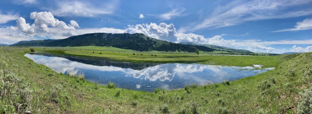 Lamar River, Wyoming | Mike Fiebig