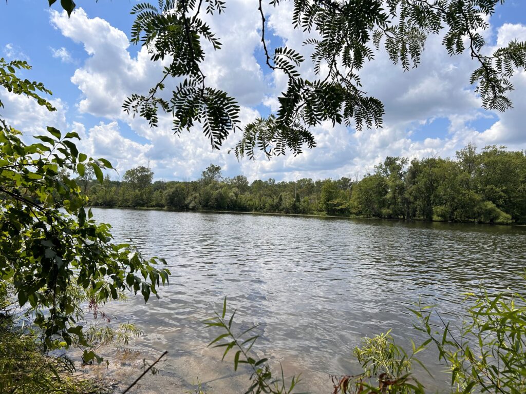 Riverside Park, Michigan | Shanyn Viars