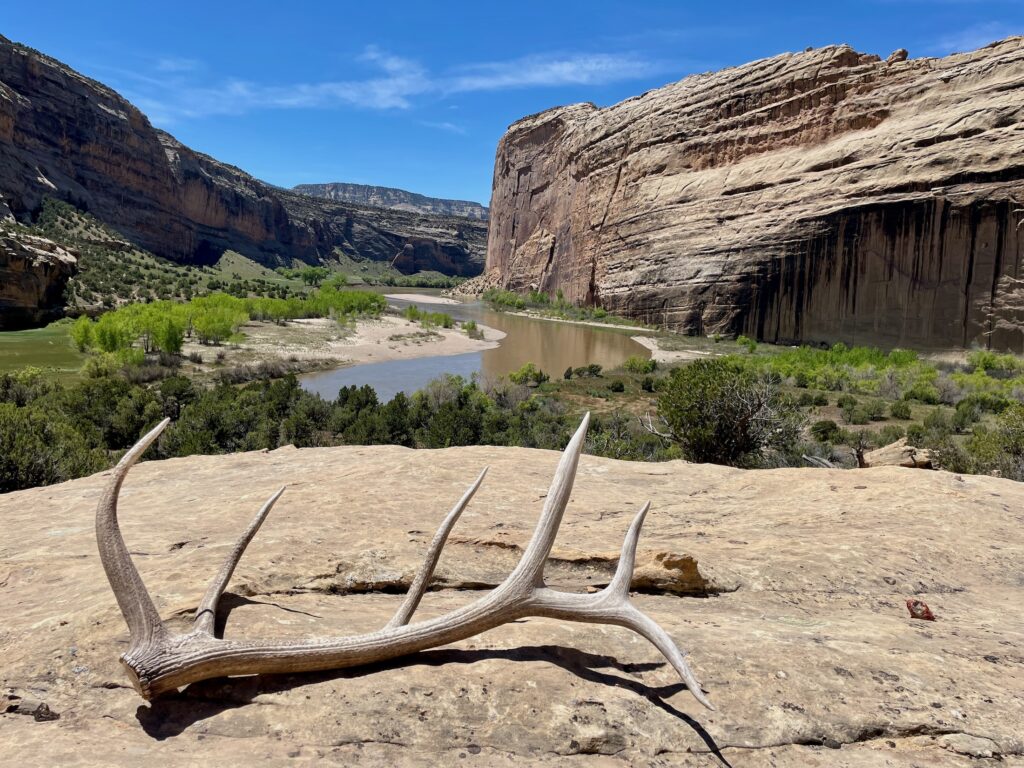 Yampa River, Colorado | Mike Fiebig