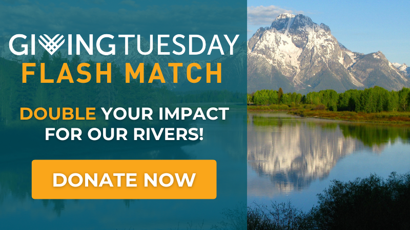 Giving Tuesday Flash Match: Donate today to have your gift matched.