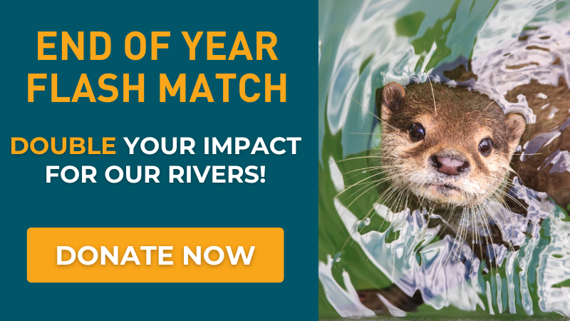 End of Year Flash Match: give today to have your gift matched 2X