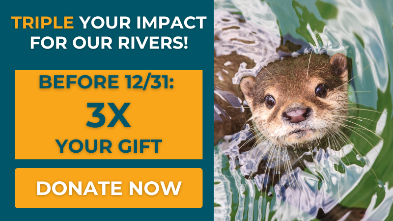 End of Year Flash Match: give today to have your gift matched 3X