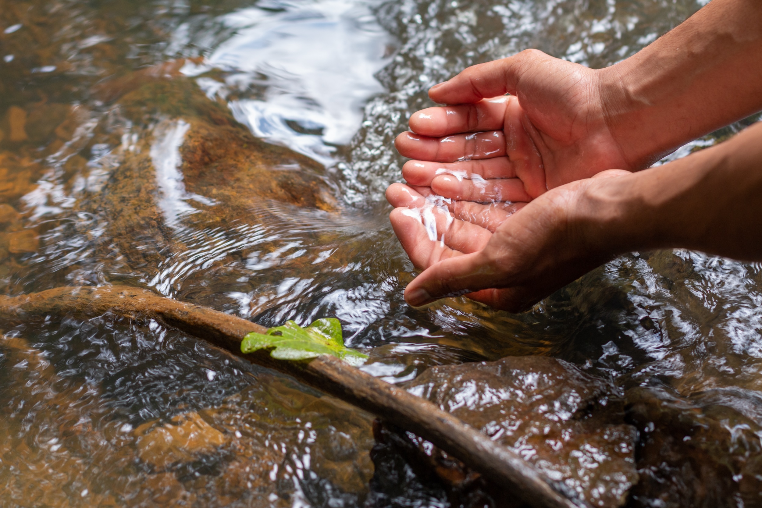 Hands in fresh water stream | Adobe