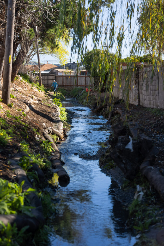 Rheem Creek, Richmond, California | Palmer Morse