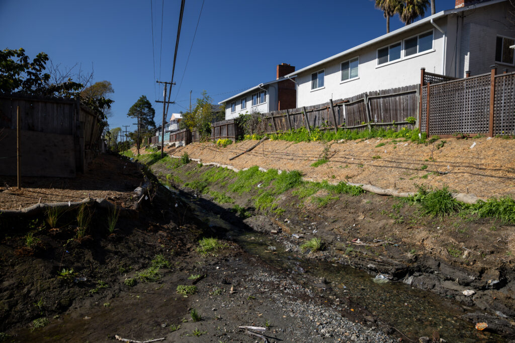 Rheem Creek post restoration efforts, Richmond, California | Palmer Morse