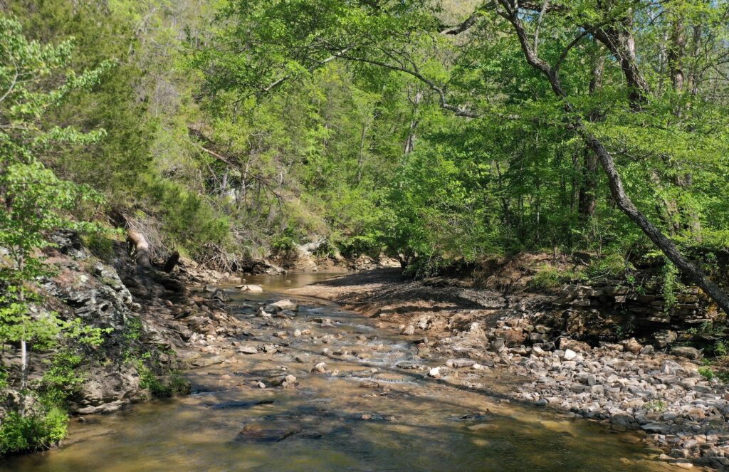 Babers Mill Dam after removal, Rock Island Creek, Virginia | Louise Finger, USFWS