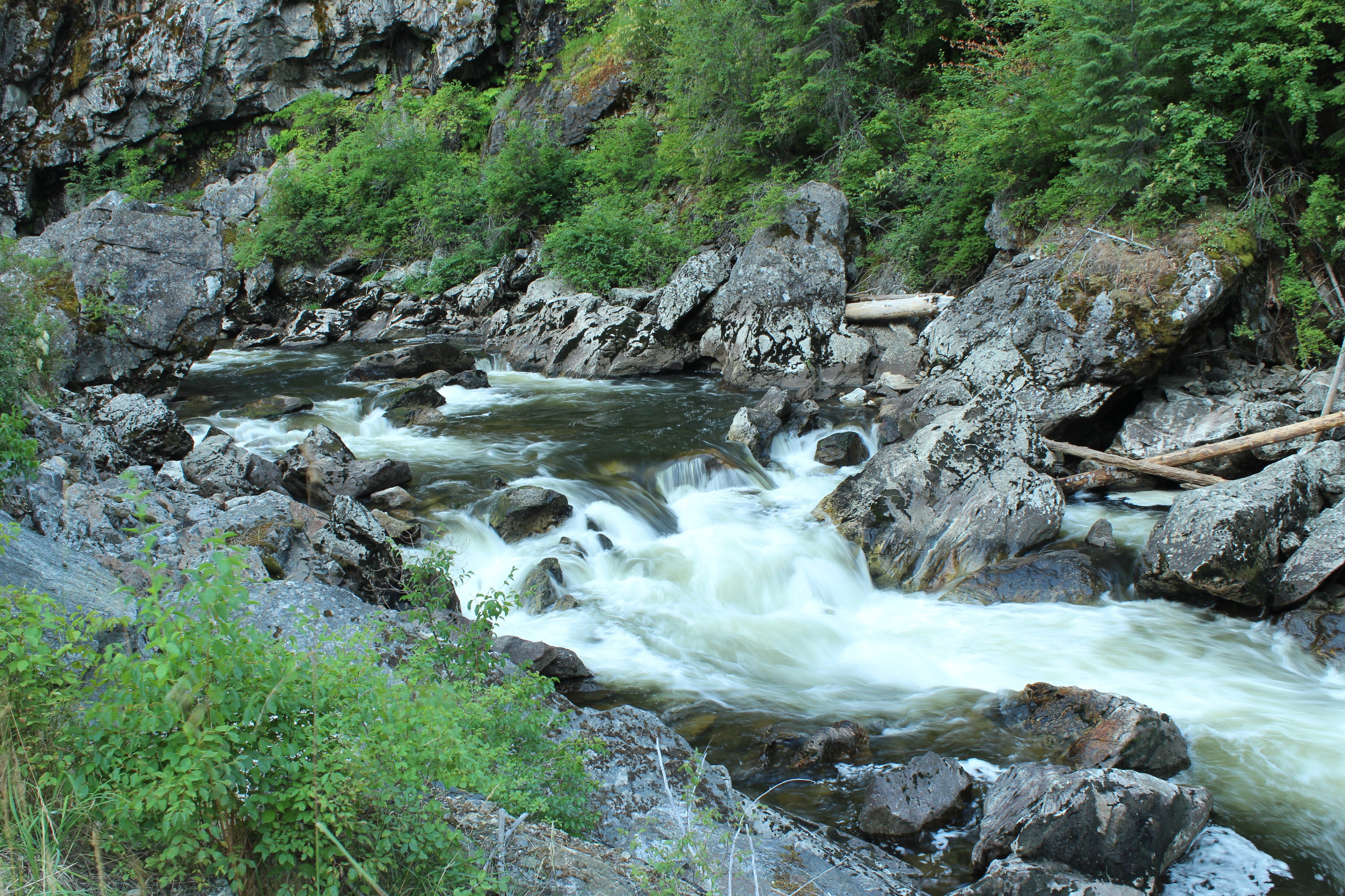 South Fork of the Clearwater River, Idaho | Lisa Ronald